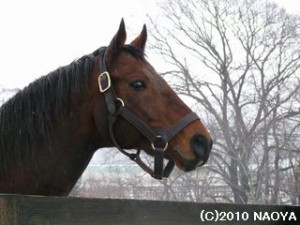 遠くを見つめるグローバル師匠