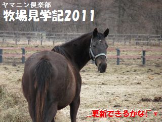 牧場見学記2011