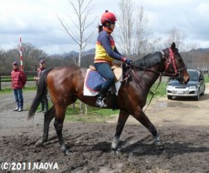 育成時代のヤマニンカヴァリエ