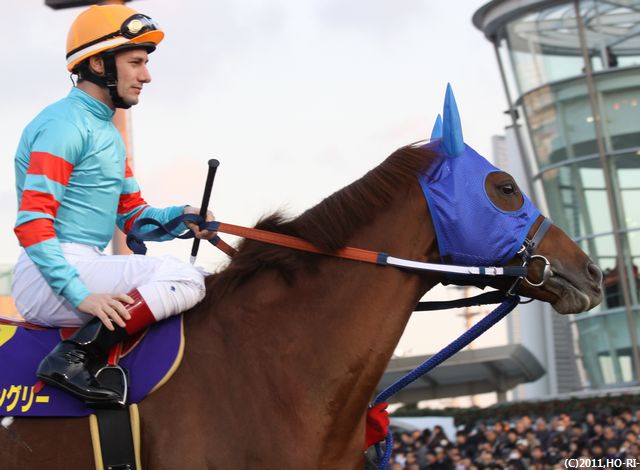 東京大賞典 パドックでのヤマニンキングリー