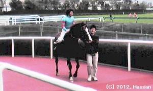 ゆきやなぎ賞のウイナーズサークルに向かうファラオ