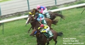 ヤマニンファラオ  ラジオNIKKEI賞の1周目