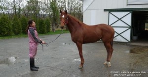 ヤマニンアルゴシー