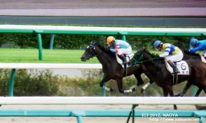 自己条件・ヤマニンミミック