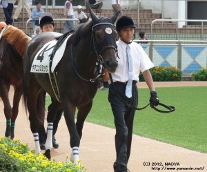 ３歳上500万下 ヤマニンミミック