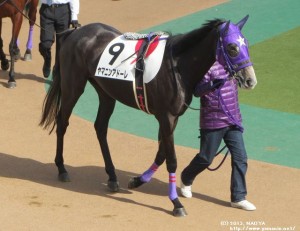 デビュー戦のヤマニンアドーレ