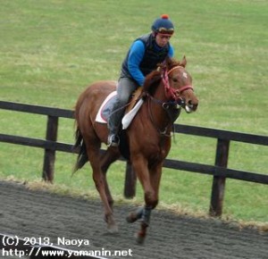 育成時代のヤマニンマルキーザと瀧本さん