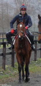 育成時代のヤマニンボワラクテ