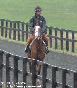 育成時代のヤマニンシュワイエ