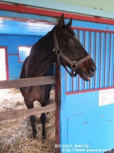 ヤマニングローバル御大