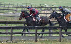 育成時代のリノリオ