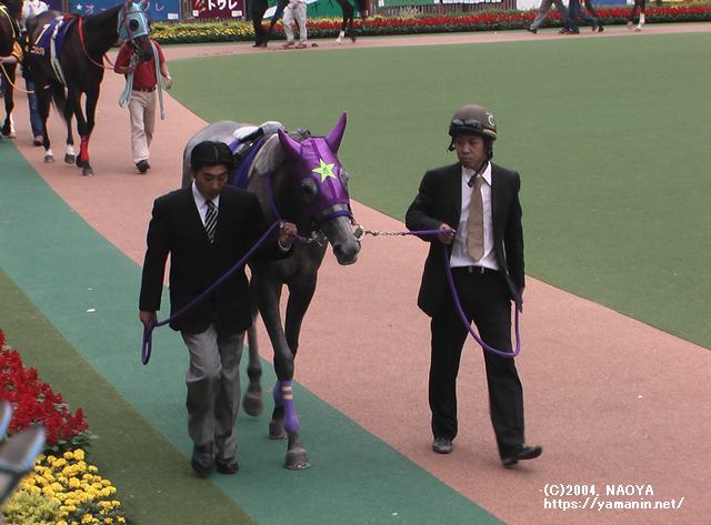 オークスに出走するヤマニンアラバスタ