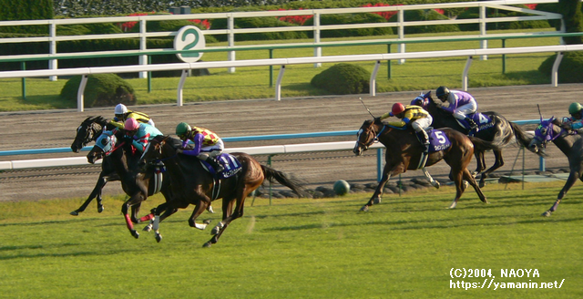 2004年 秋華賞のゴール前・ヤマニンシュクルとヤマニンアラバスタ