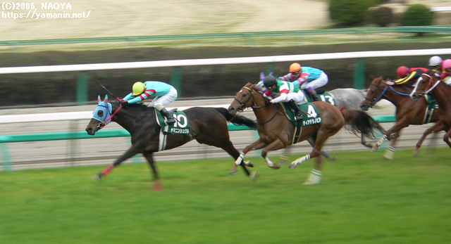 中山牝馬Sのゴール前・ヤマニンシュクルとヤマニンアラバスタ