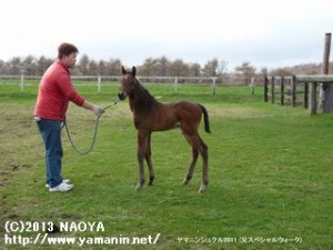 当歳時のヤマニンルポ