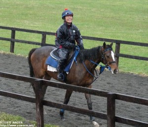 育成時代のヤマニンバステトと川瀬さん