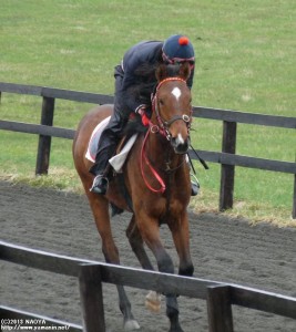 育成時代のヤマニンボワラクテと森山さん