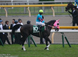 アルテミスS(G)のヤマニンアリエッタ