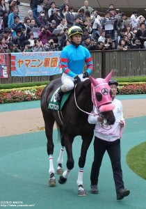アルテミスS(G)パドックのヤマニンアリエッタ