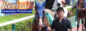 Revival ヤマニンファラオ