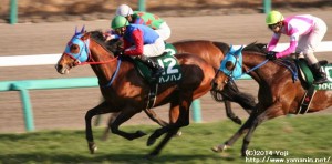 オーシャンS 最後の直線のハノハノ