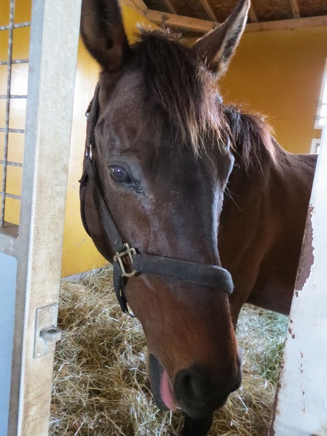 ヤマニンアリーナ