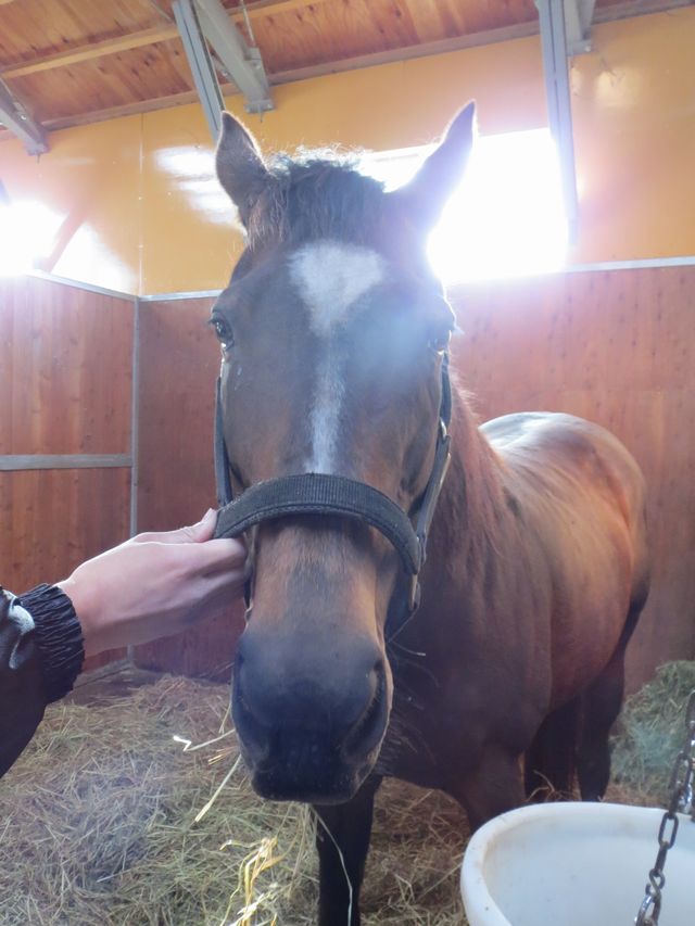 グランマモーゼス