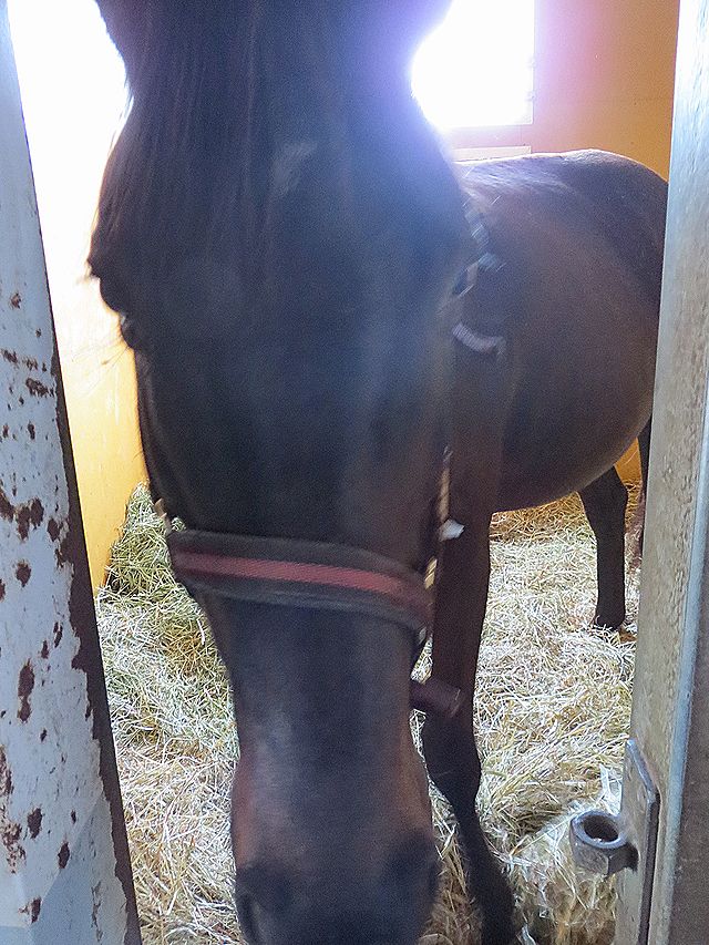 ヤマニンミュゼット