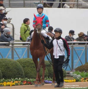 ヤマニンプチガトー