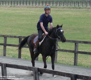 育成時代のヤマニンミネルバ
