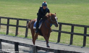 育成時代のヤマニンフライハイと川瀬さん