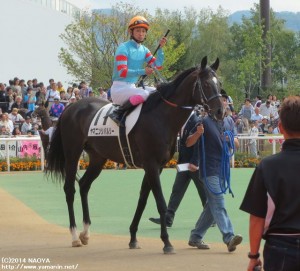 藤岡康騎手とヤマニンシバルリー