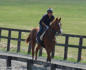 育成時代のリシーハットと瀧本さん