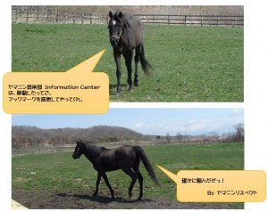 移転のお知らせ・ヤマニンリスペクト