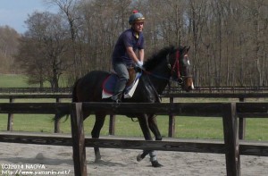 育成時代のヤマニントルーパーと瀧本さん