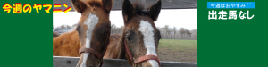 今週のヤマニン・出走馬なし