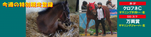 今週の特別競走登録・ナジャーハとプチガトー