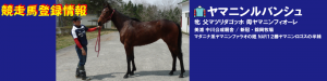 競走馬登録･ヤマニンルバンシュ