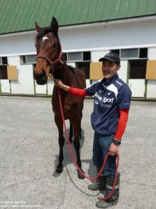 育成時代のヤマニンルバンシュと石井場長