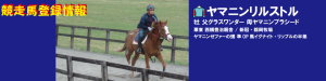 競走馬登録･ヤマニンリスペクト