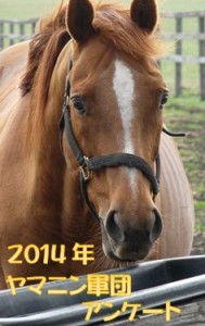 ヤマニン軍団アンケート2014