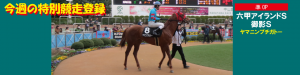 今週の特別競走登録・ヤマニンプチガトー