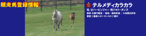 競走馬登録・テルメディカラカラ