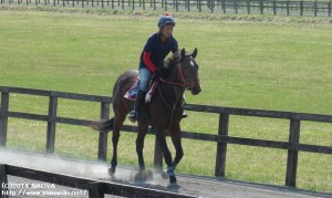 育成時代のクオリアンカと渡部さん