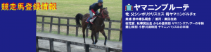 競走馬登録・ヤマニンブルーテ