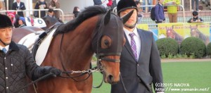 2015年初戦のヤマニンアタシャン