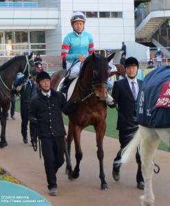 2015年初戦のヤマニンアタシャン