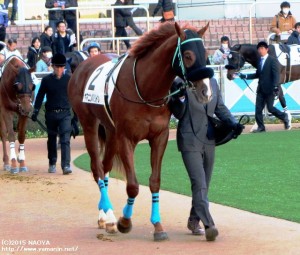 デビュー戦のヤマニンバリトン