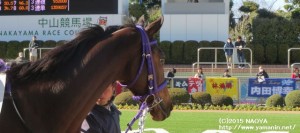 デビュー戦のヤマニンノクターン