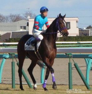 デビュー戦のヤマニンノクターン